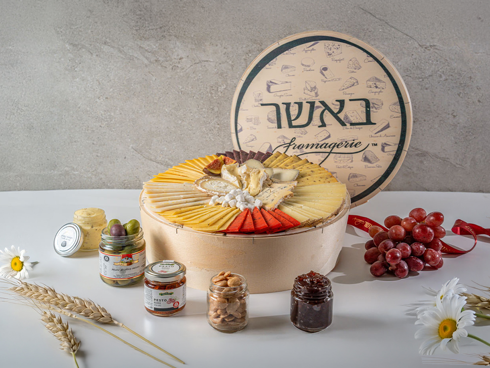 12 גוונים אתר