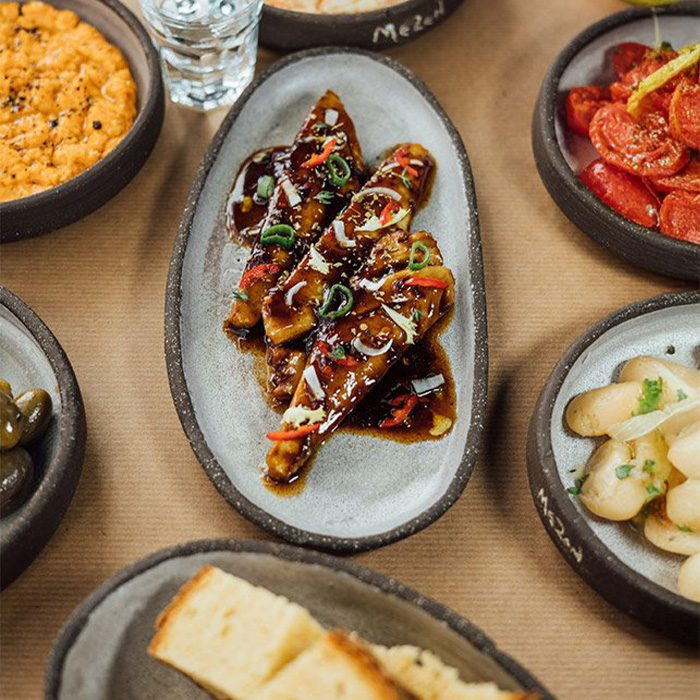 דגים אווירה 4