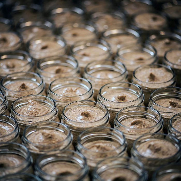 חרדל בלגי אווירה 1