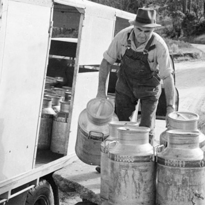 יוגורט יווני אווירה