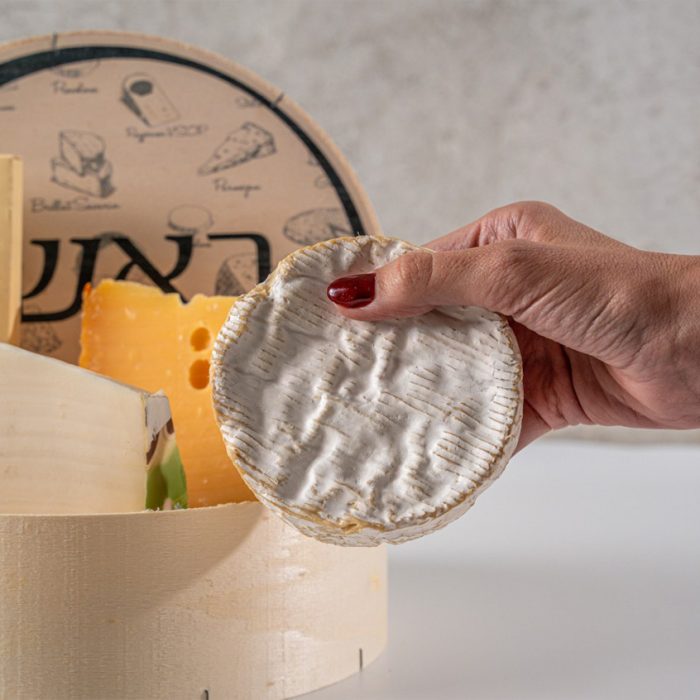 מארז כלביא אווירה אתר