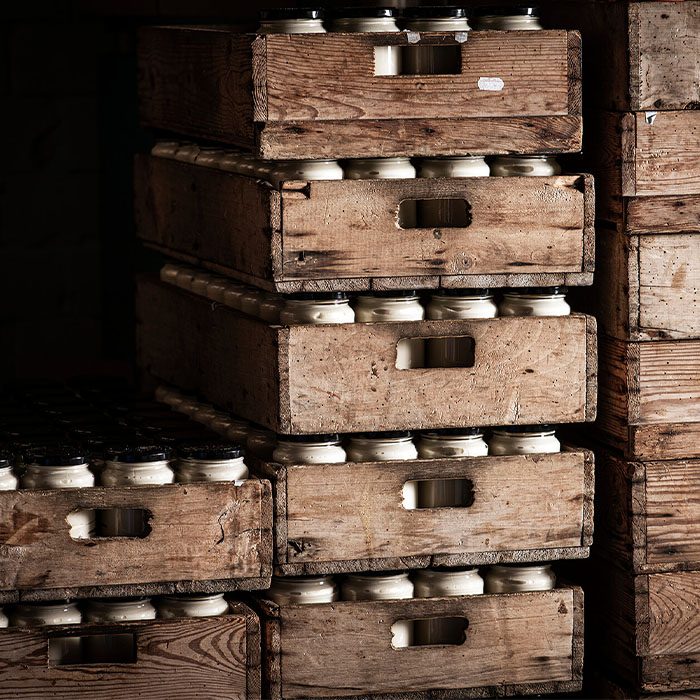 מיונג בלגי אווירה 3