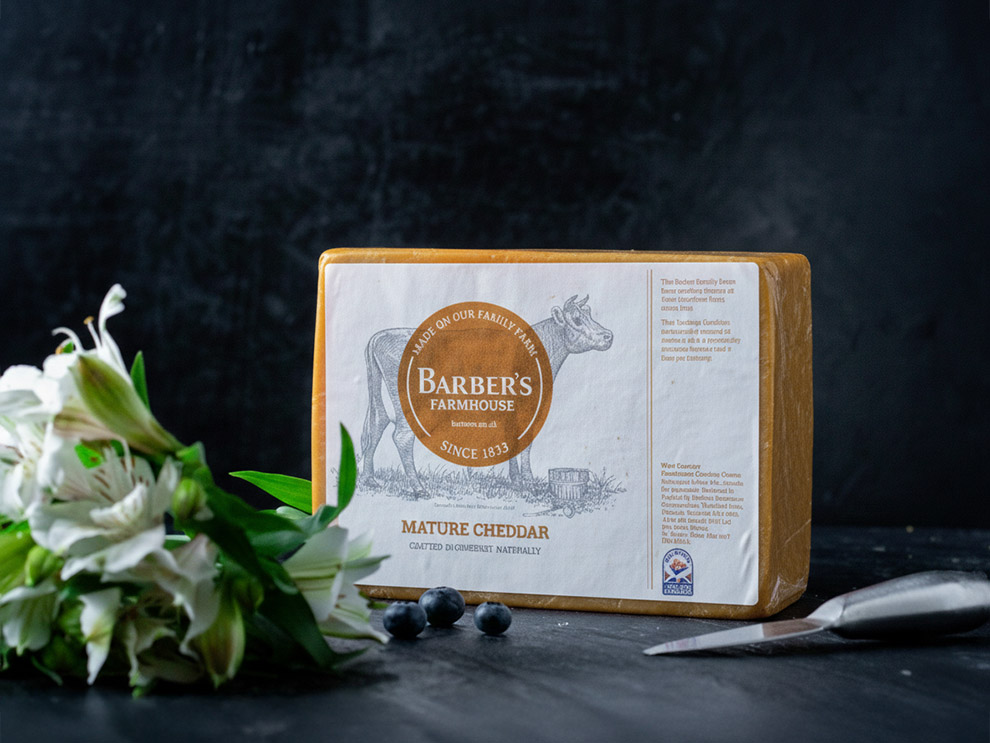 צ'דר מאצור כתום